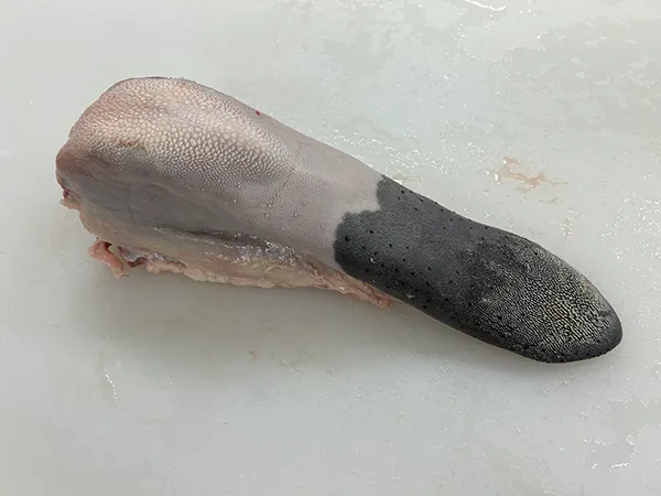 タン