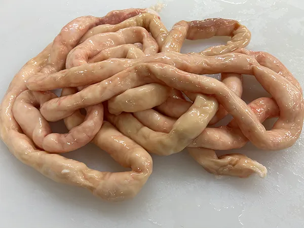 丸腸