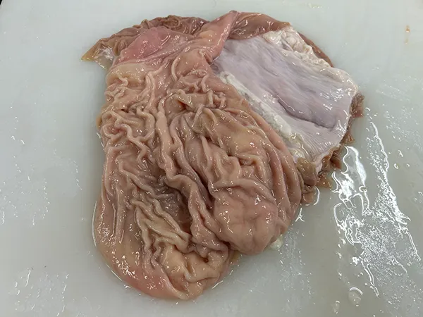 赤センマイ